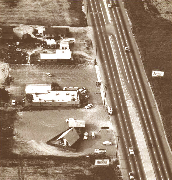 Luigi's Aerial View